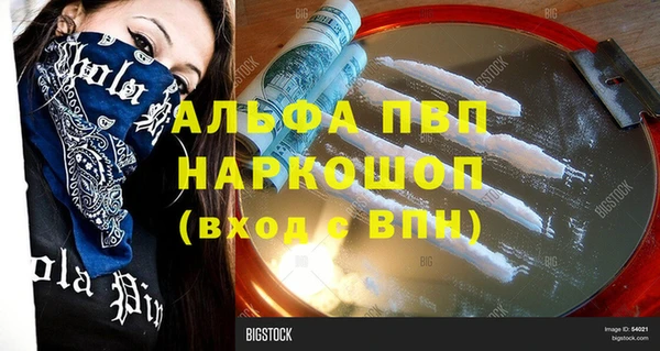 дживик Краснослободск