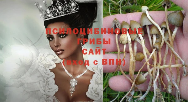 дживик Краснослободск