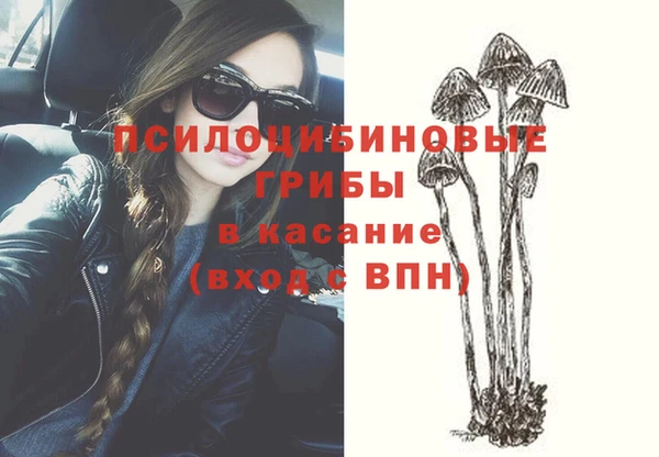 2c-b Коряжма