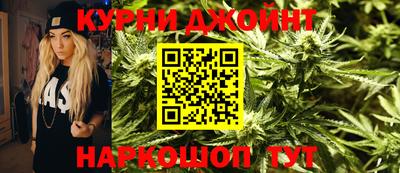 шишки Заволжье