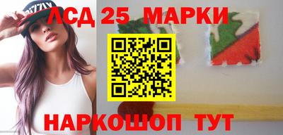 шишки Заволжье