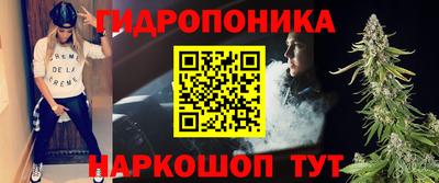 шишки Заволжье