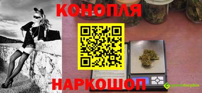 молекула духа Заводоуковск