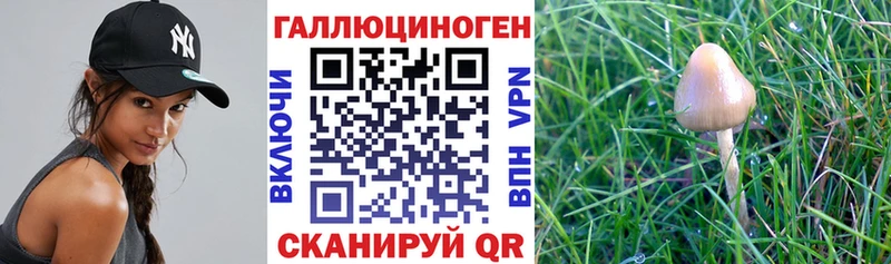 Галлюциногенные грибы ЛСД  Мценск 