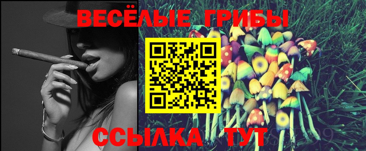 Псилоцибиновые грибы прущие грибы Мценск