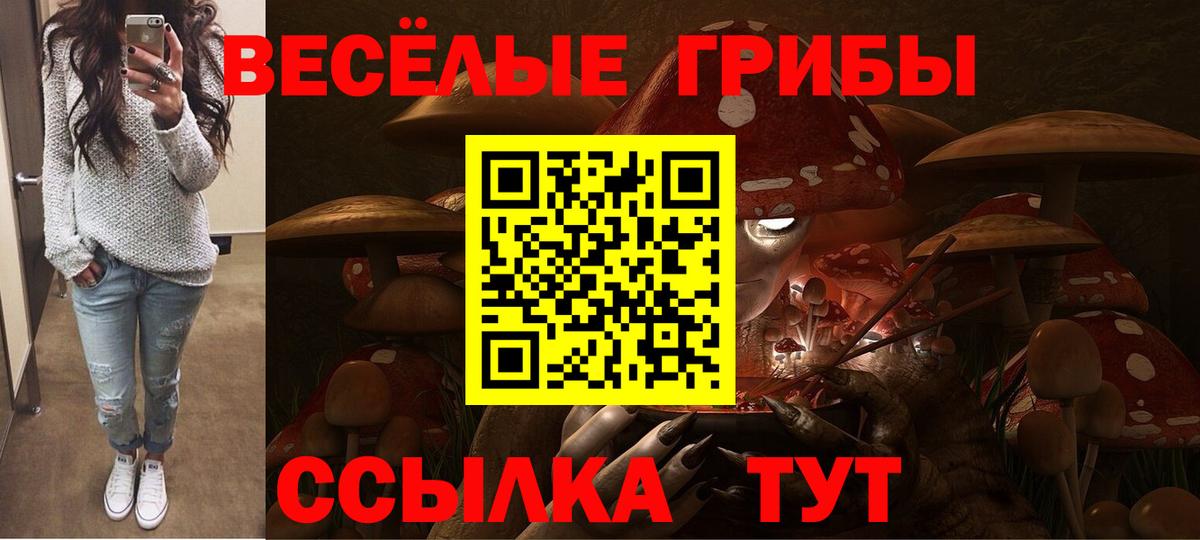 Мценск  дарнет шоп  Вход с VPN  Галлюциногенные грибы Cubensis 